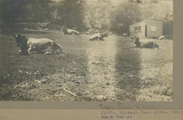 Clifton Hubbard's Farm, Manorton, NY