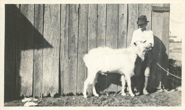 Billy Goat