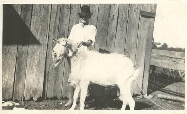Billy Goat (2)