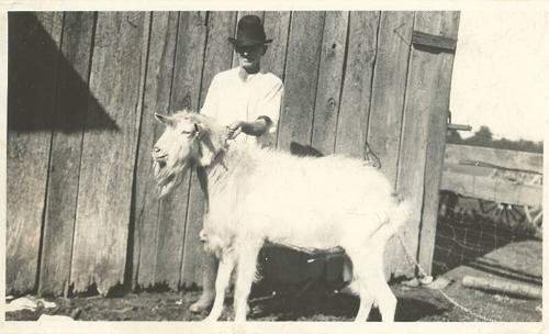 Billy Goat (2)