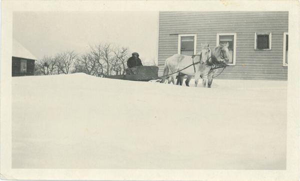 Horse Team with Wagon in the Snow