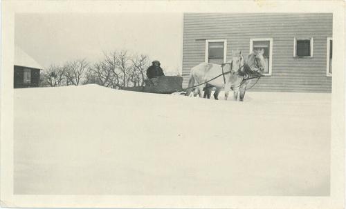 Horse Team with Wagon in the Snow