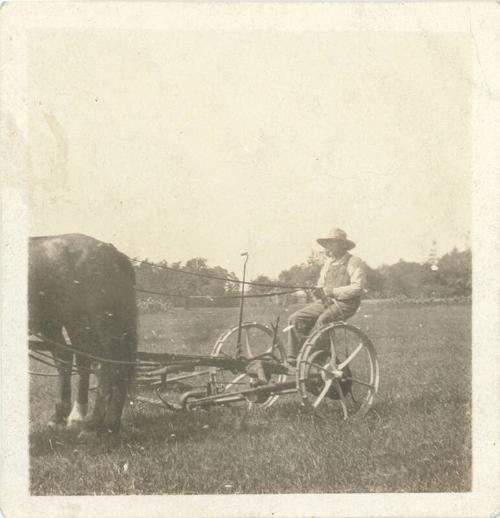 Mowing a Field