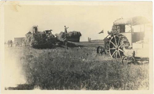 Threshing in a Field