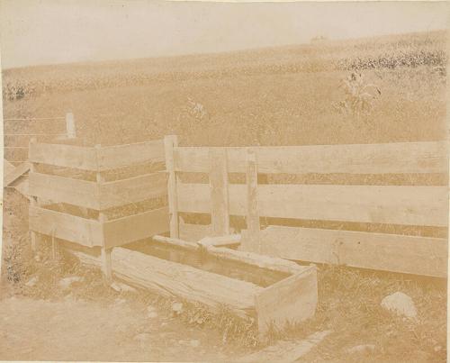Water Trough