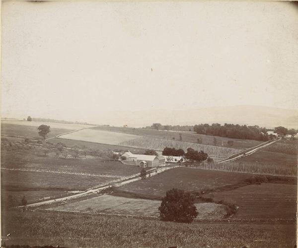 Farm in Shutts Corner, NY