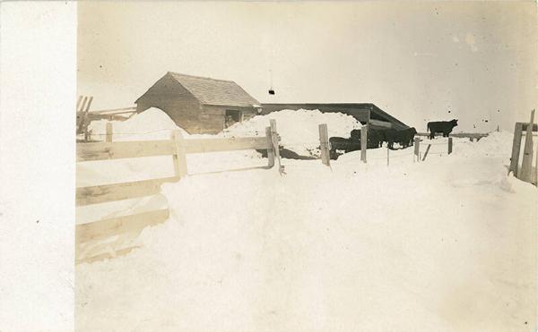Farm in Winter, Dayton, NY