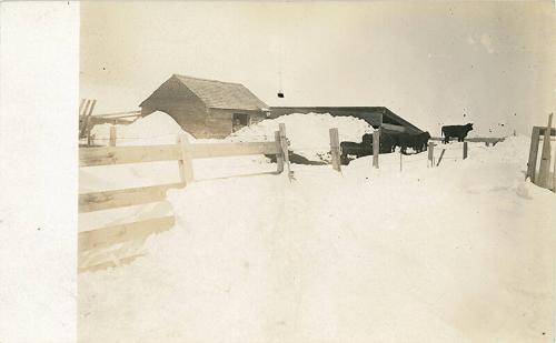 Farm in Winter, Dayton, NY