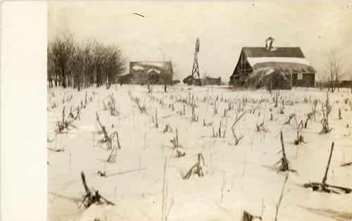 Corn Field covered in Snow
