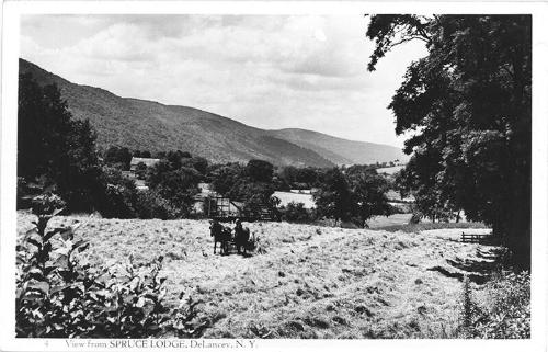 View of Spruce Lodge, DeLancey, NY