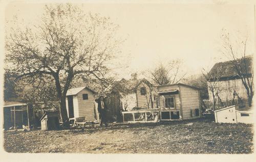 Small Backyard Chicken Coops