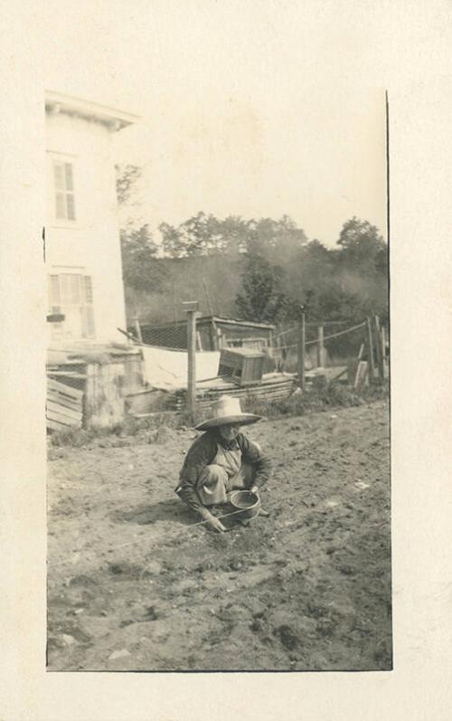 Planting Seeds by Hand