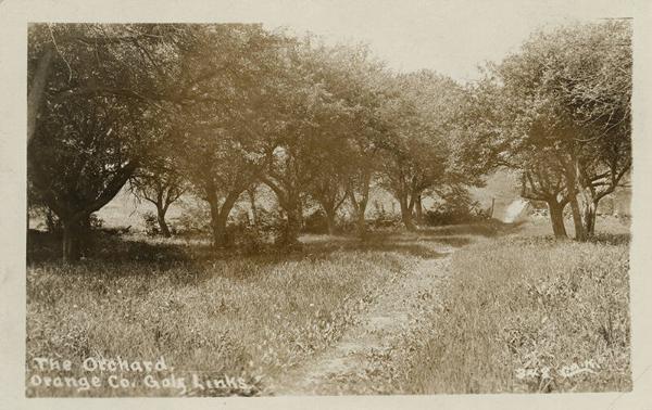 Orchard in Orange County, NY