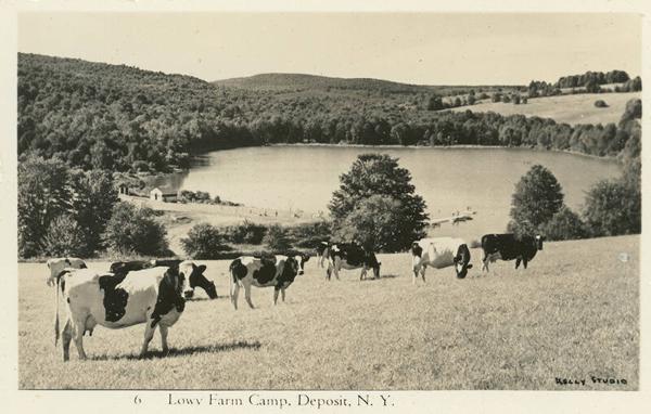 Lowy Farm Camp, Deposit, NY