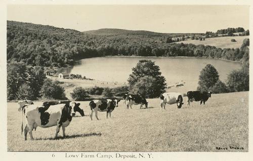 Lowy Farm Camp, Deposit, NY