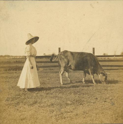 Woman with Cow