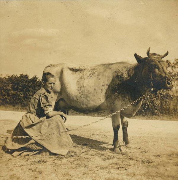 Woman Kneeling with Cow by her Side