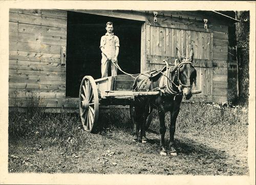 Man Standing in Wagon
