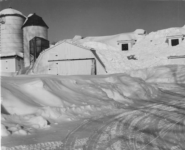 Murphy Farm in Westport, NY