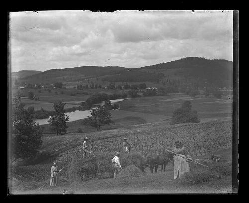 Working the Fields