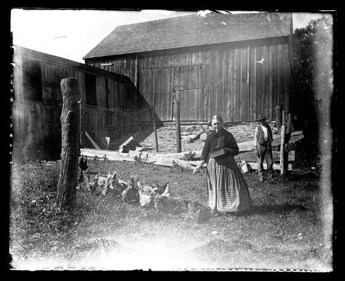 A Woman Feeding a Flock of Chickens