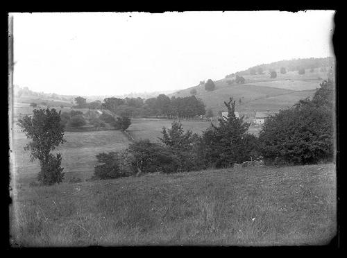 Pastureland