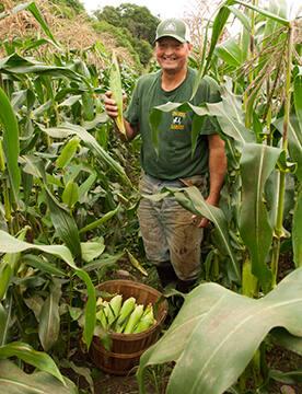 John Tauzel of Tauzel Farm in Corn Field