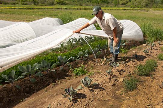 Walter Riesen of Star Route Farm
