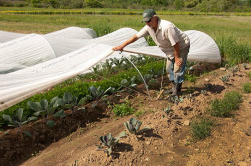 Walter Riesen of Star Route Farm