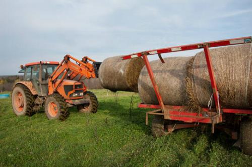 Tractor and Hay Bale at G&T Farm