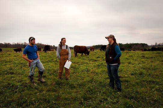 Cornell Students at G&T Farm