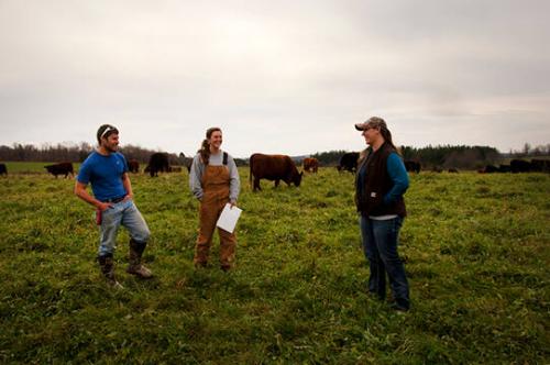 Cornell Students at G&T Farm