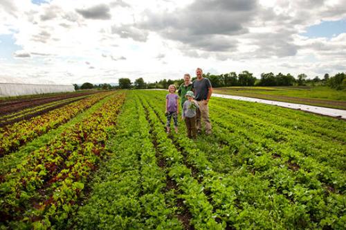 Freebird Farm Family