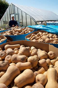 Ken with Butternut Squash at Freebird Farm
