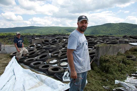 Silage at the Jahnke's Hemlock Valley Farm