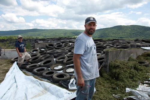 Silage at the Jahnke's Hemlock Valley Farm