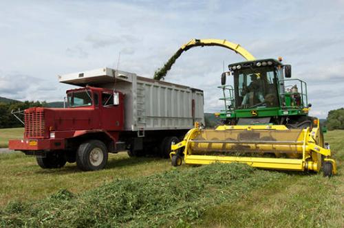 Combine Harvesting Hay at the Jahnke's Hemlock Valley Farm