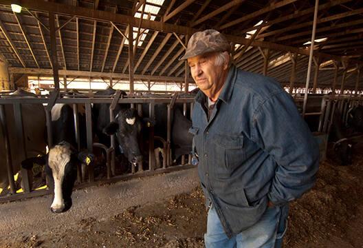 Sonny Jahnke in the Barn at Hemlock Valley Farm