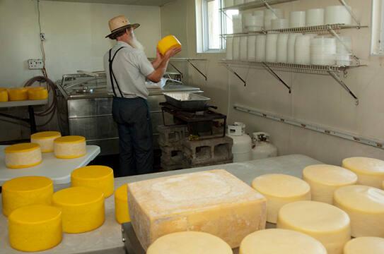 Daniel Byler of Mountain View Dairy