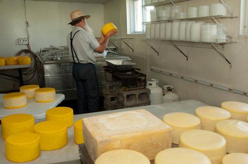 Daniel Byler of Mountain View Dairy