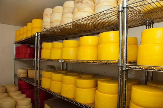 Mountain View Dairy Cheese Cooling Racks