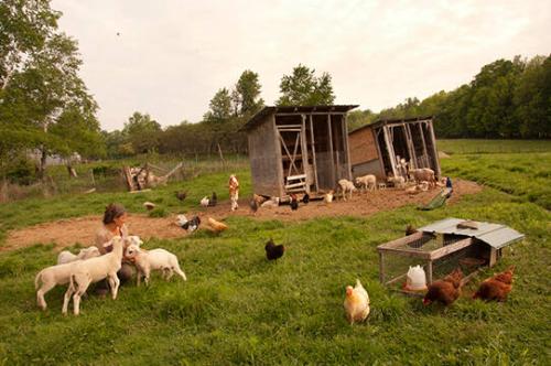 Nectar Hills Farm