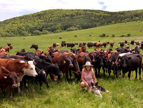 Siobhan Griffin and Cattle at Raindance Farm