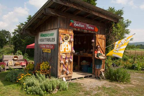 Jeanne O'Brien at Roadside Stand on Sadlon Farms
