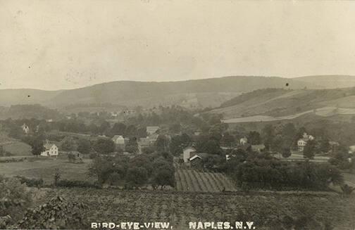 Bird Eye View of Vineyard, Naples, New York