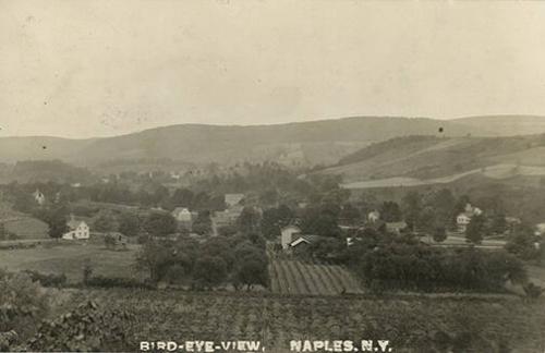 Bird Eye View of Vineyard, Naples, New York