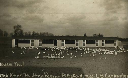 Oak Knoll Poultry Farm, Pittsford, New York