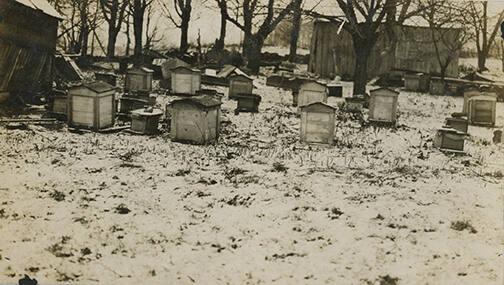 Beehives on Snow-Filled Slope