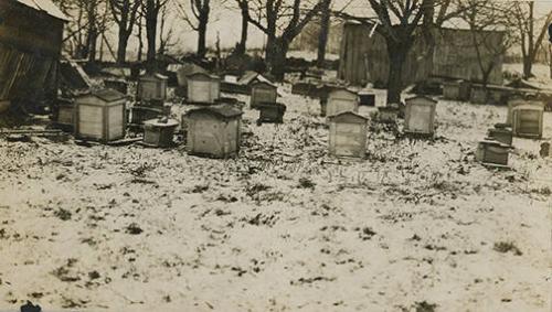 Beehives on Snow-Filled Slope