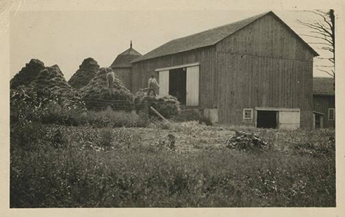 Haystacks and Barn